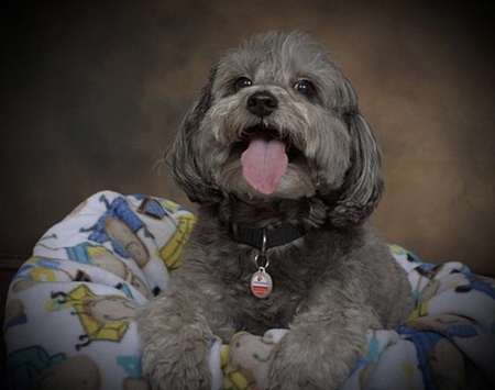 Entry image for Grayson. Clicking this image will show a larger photo