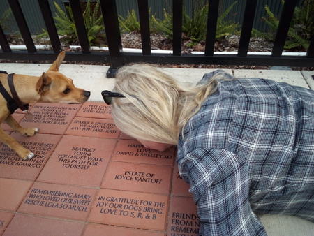 Entry image for Seattle Humane Society Brick (pet). Clicking this image will show a larger photo