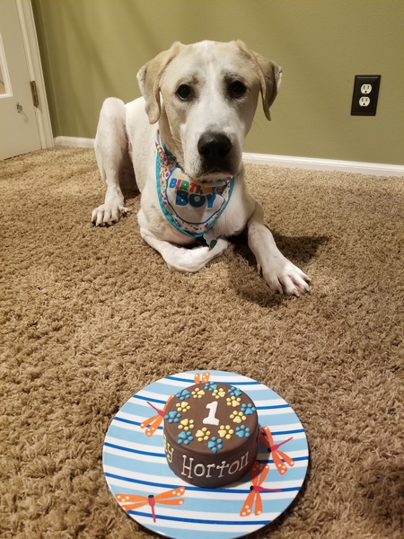 Entry image for Horton. Clicking this image will show a larger photo