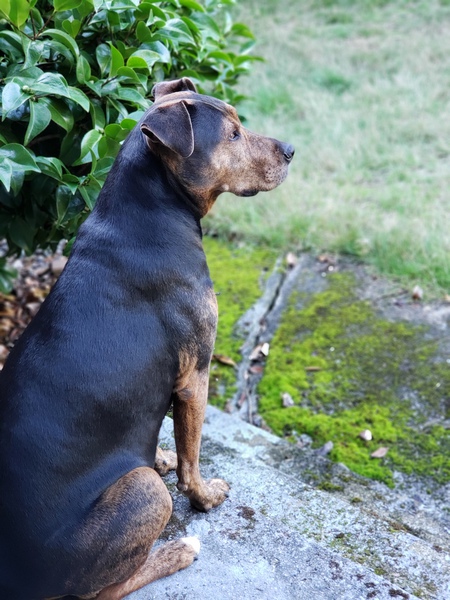 Entry image for Katie. Clicking this image will show a larger photo