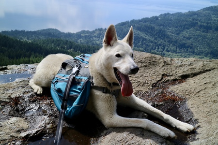 Entry image for Bowen . Clicking this image will show a larger photo