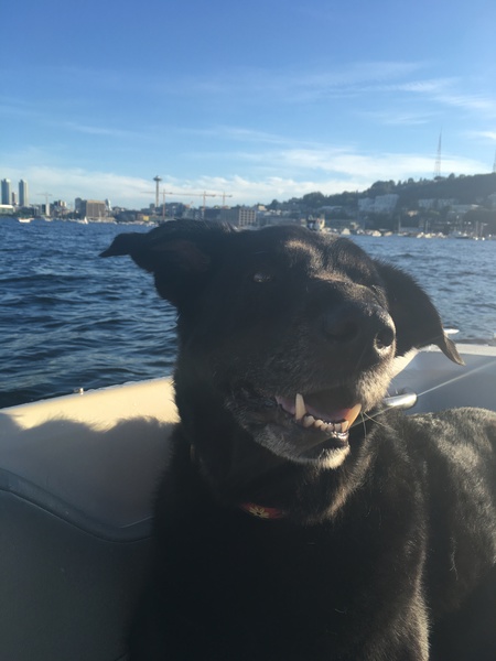 Entry image for Karma. Clicking this image will show a larger photo