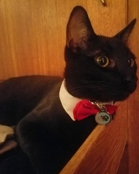 Entry image for Riku. Clicking this image will show a larger photo