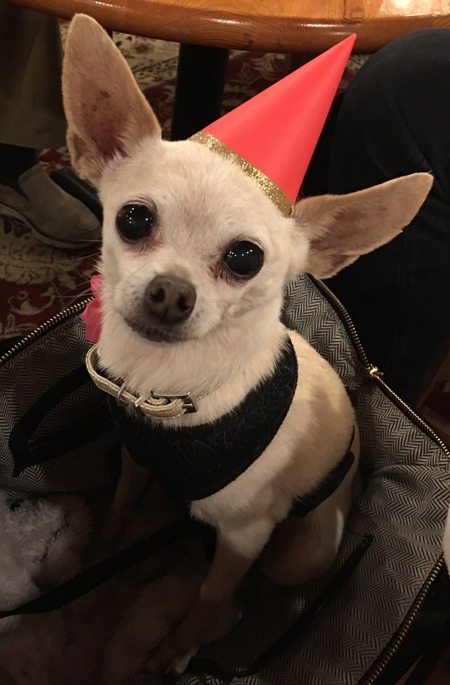 Entry image for Harlow. Clicking this image will show a larger photo