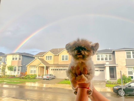 Penny and the Double Rainbow