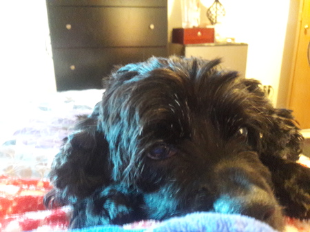 Entry image for Madelline. Clicking this image will show a larger photo