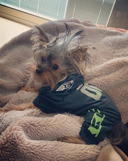 Entry image for Luis. Clicking this image will show a larger photo