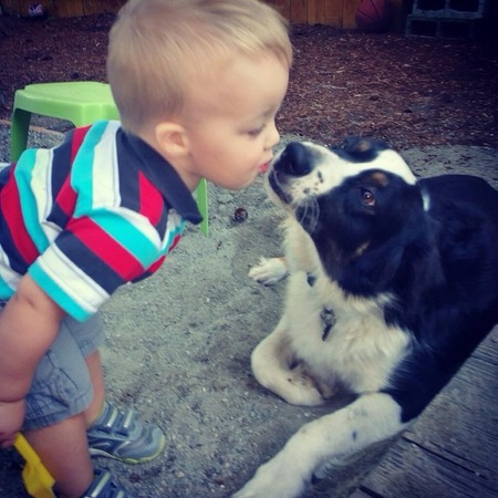 Entry image for Tucker. Clicking this image will show a larger photo