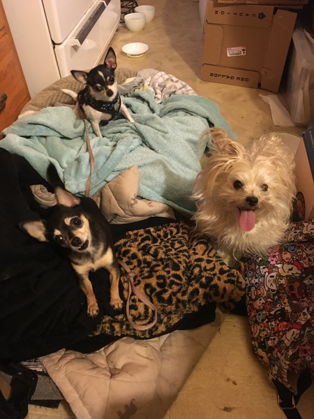 Entry image for LeLe, Mama & Baby. Clicking this image will show a larger photo