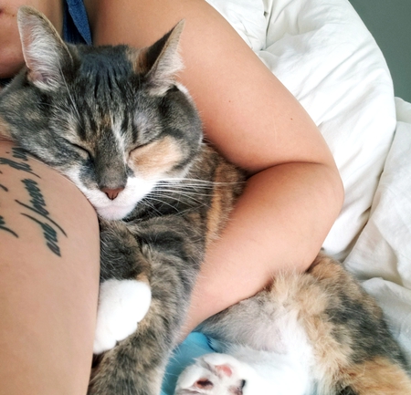 Entry image for Elaine. Clicking this image will show a larger photo