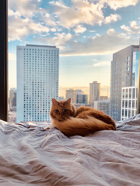 Entry image for Hairy. Clicking this image will show a larger photo