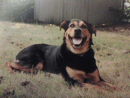 Entry image for Kyra. Clicking this image will show a larger photo