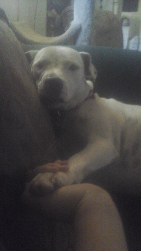 Entry image for Whitney  . Clicking this image will show a larger photo