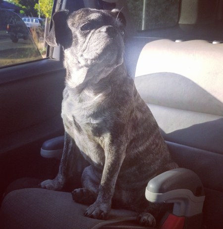 Entry image for Fran. Clicking this image will show a larger photo