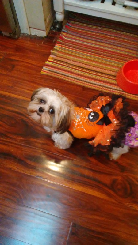 Entry image for Aurora. Clicking this image will show a larger photo