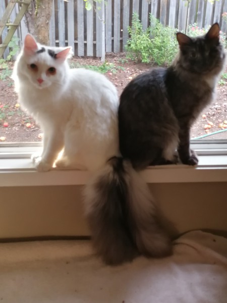 Entry image for Percy and Doug. Clicking this image will show a larger photo