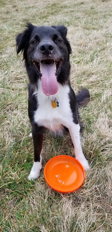 Entry image for BEAR. Clicking this image will show a larger photo