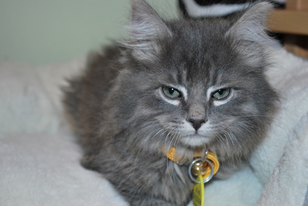 Entry image for Max. Clicking this image will show a larger photo