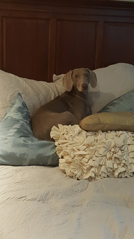 Entry image for Happy. Clicking this image will show a larger photo