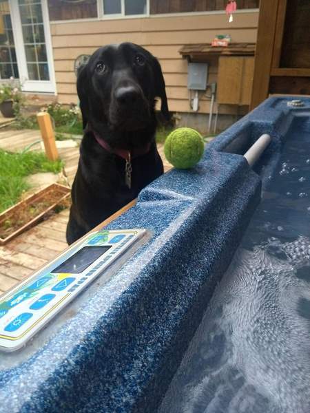 Entry image for Suzie. Clicking this image will show a larger photo