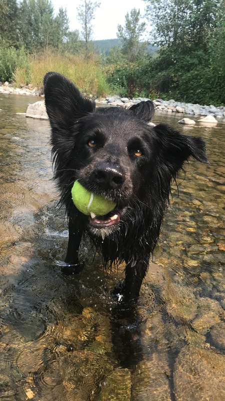 Entry image for Cub. Clicking this image will show a larger photo