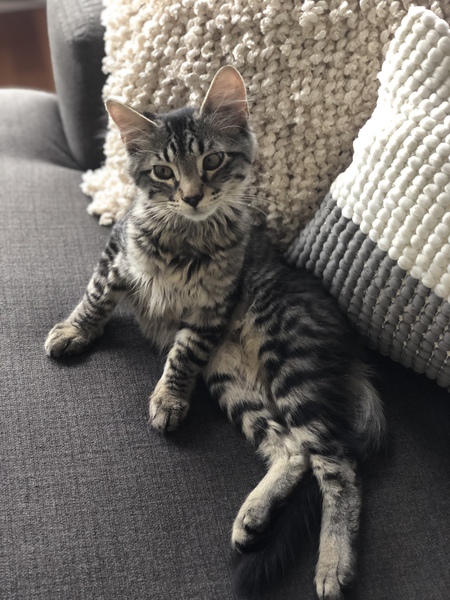 Entry image for RuPaulo. Clicking this image will show a larger photo