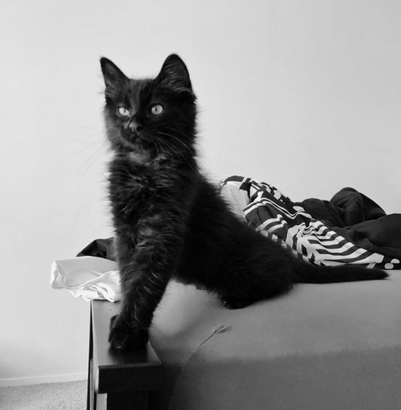 Entry image for Oslo. Clicking this image will show a larger photo