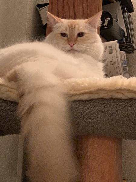 Entry image for Riley. Clicking this image will show a larger photo