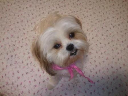 Entry image for Sallie. Clicking this image will show a larger photo