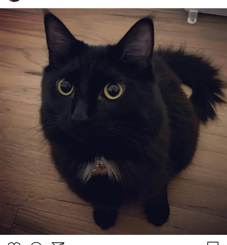 Entry image for Felicity. Clicking this image will show a larger photo