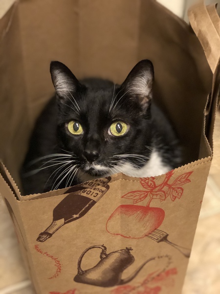 Entry image for Minimi. Clicking this image will show a larger photo