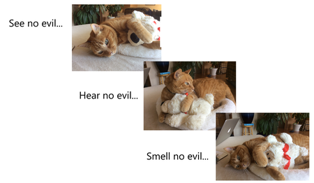 Entry image for Grace. Clicking this image will show a larger photo