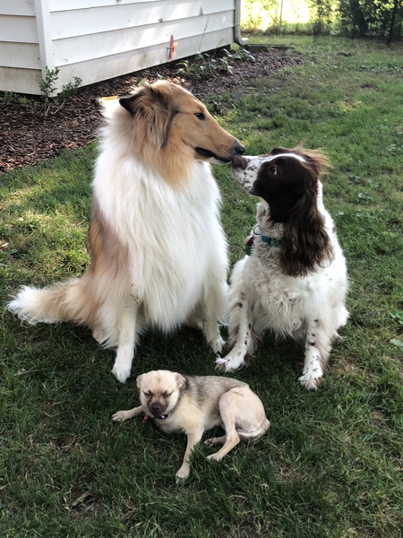 Capri, Tuck and Gwen