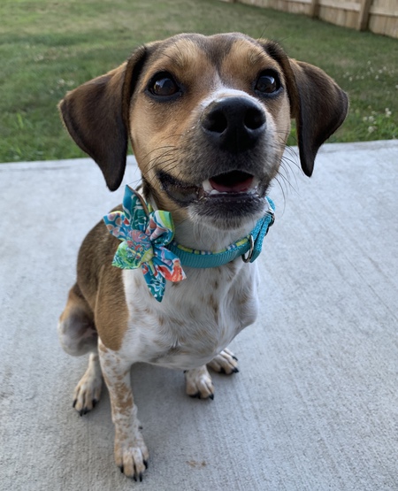 Penny