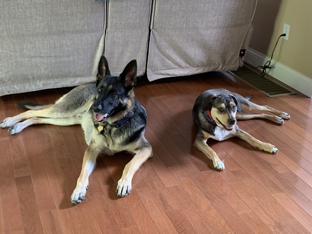 Krieg & Dougal