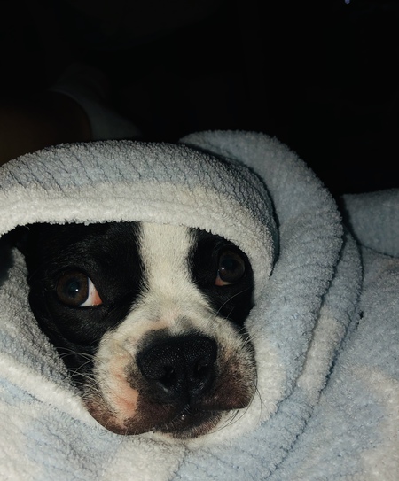 Bennie 