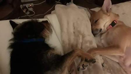 Little Bit and Sissy
