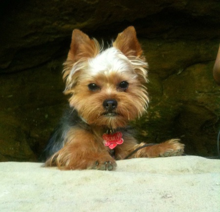 Romeo