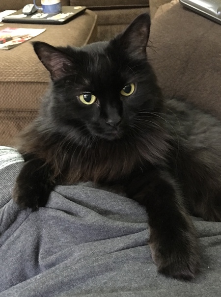 Kiki