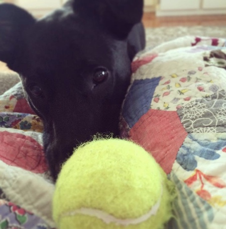 Cooper