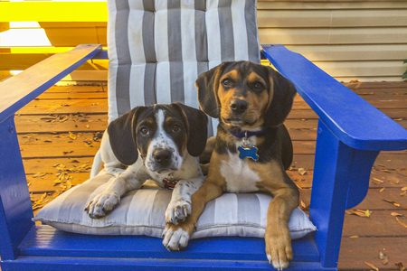 Cooper & Quincy
