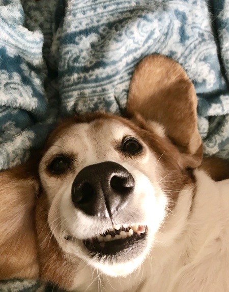 Watson