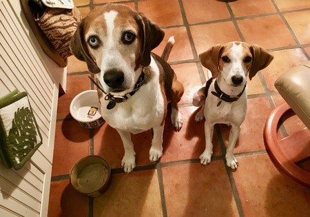 Arthur & Abby