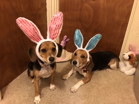 Moe and Piper