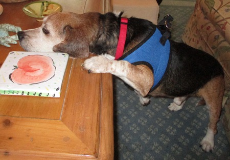 Walter
