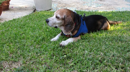 Walter