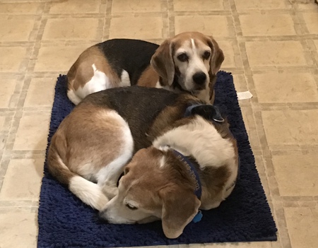 BJ and Rudy