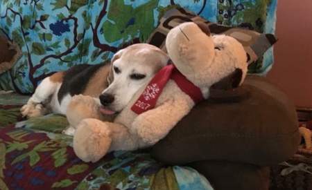 Ruby Roo
