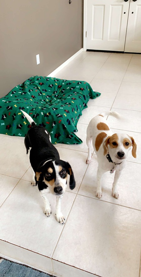 Charlie and Popcorn