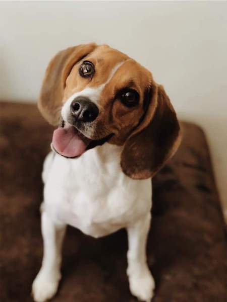 Daisy Mae